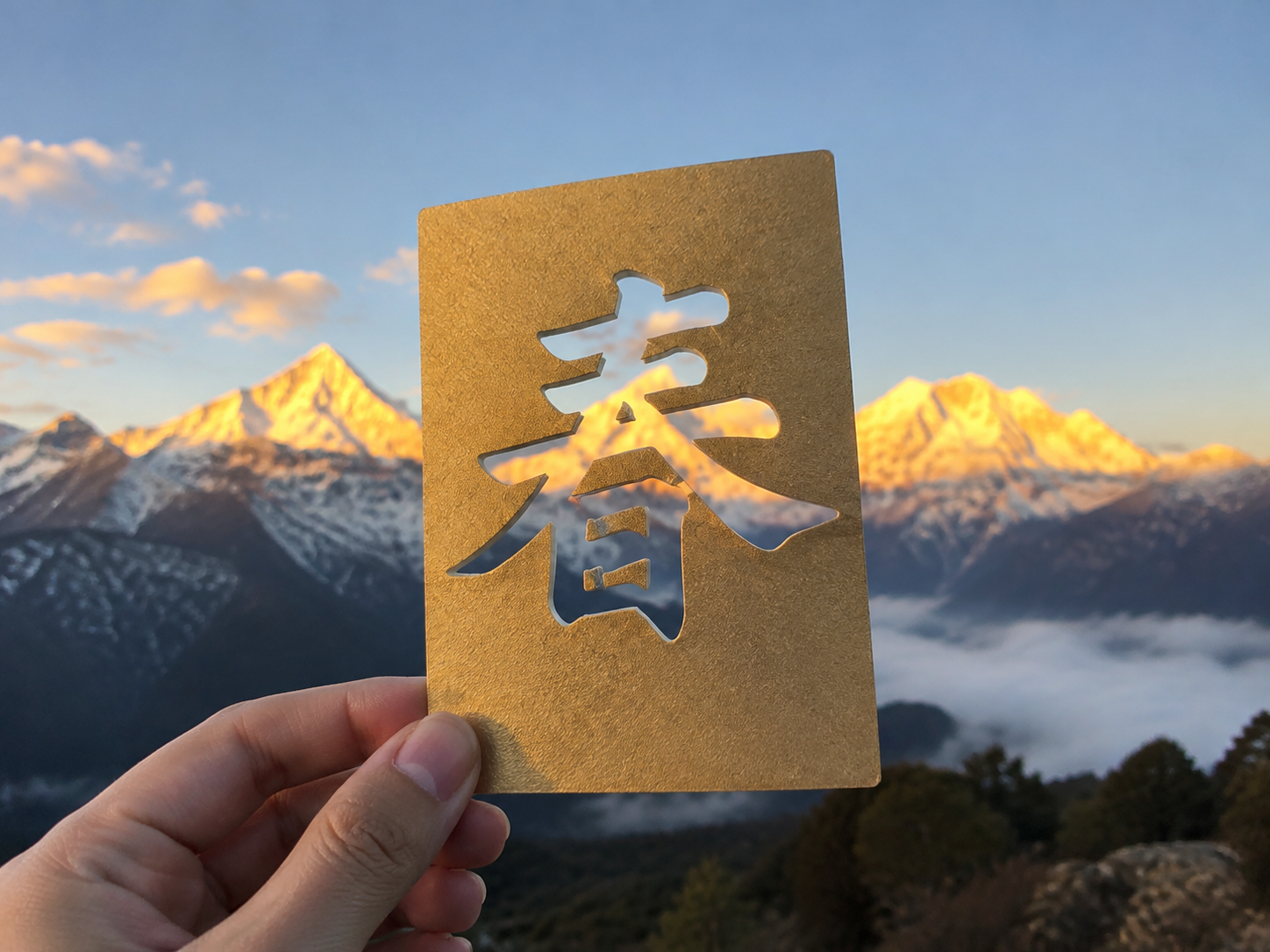 AI 生成图片，模型：Image 2.5