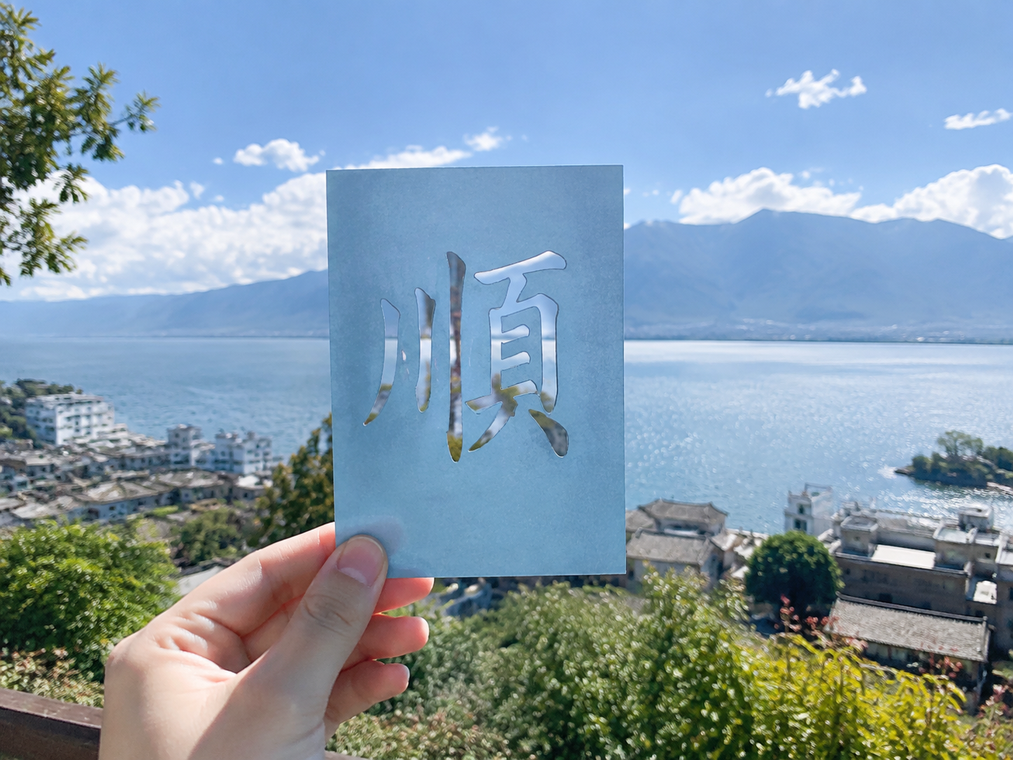 AI 生成图片，模型：Image 2.5