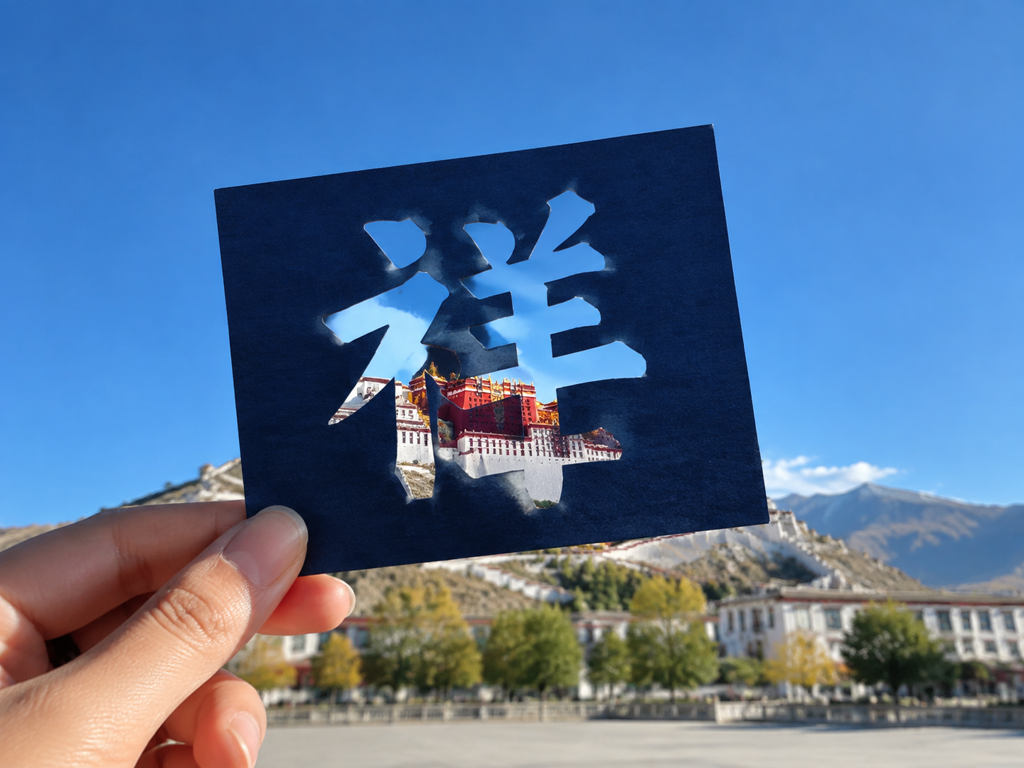 AI 生成图片，模型：Image 2.5