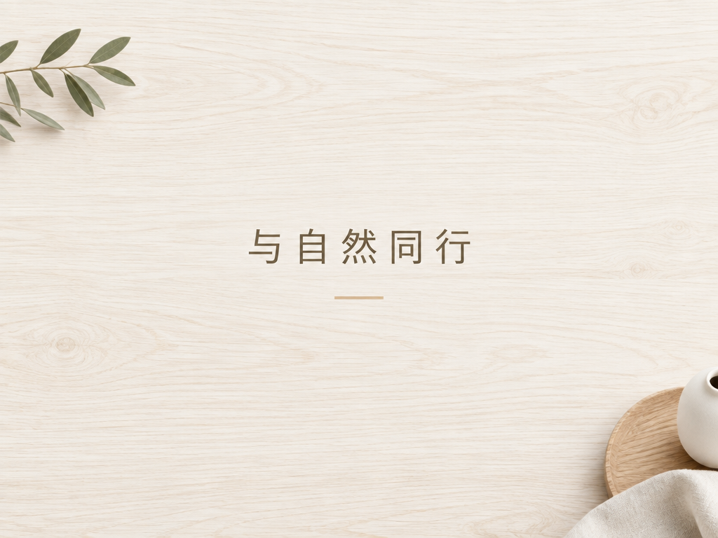 AI 生成图片，模型：Image 2.5