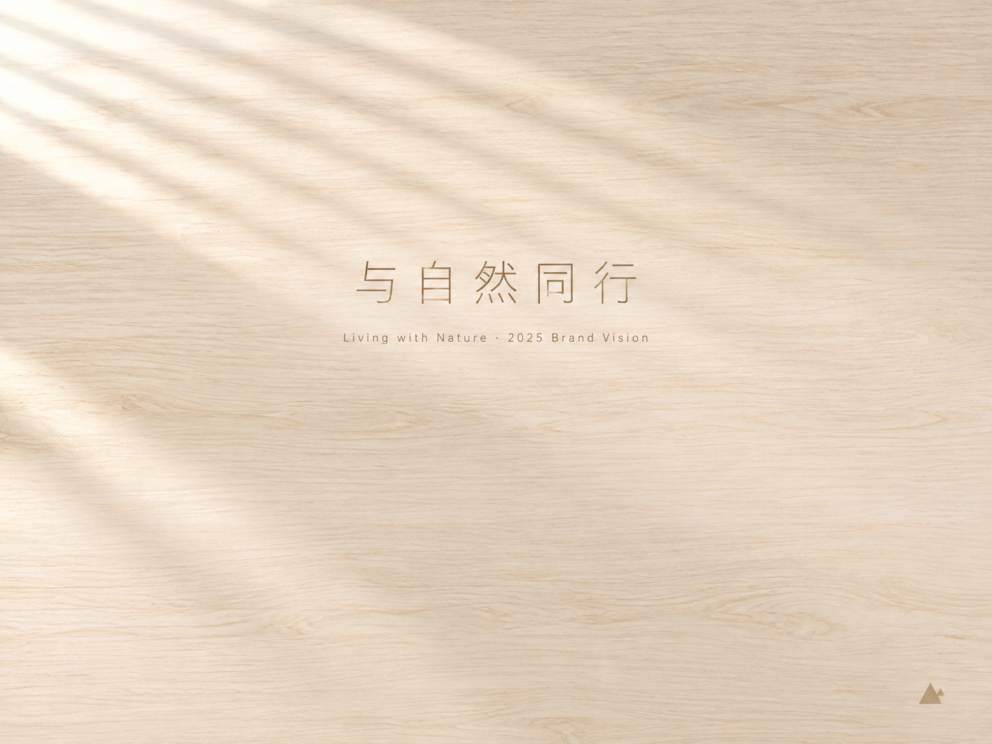 AI 生成图片，模型：Image 2.5