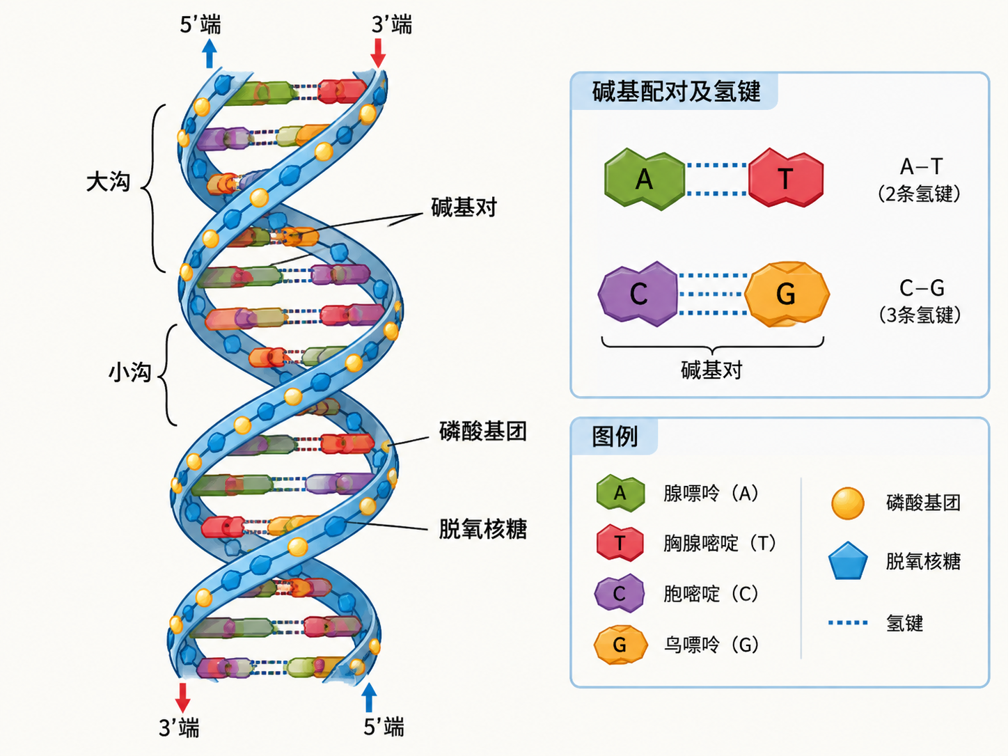AI 生成图片，模型：Image 2.5