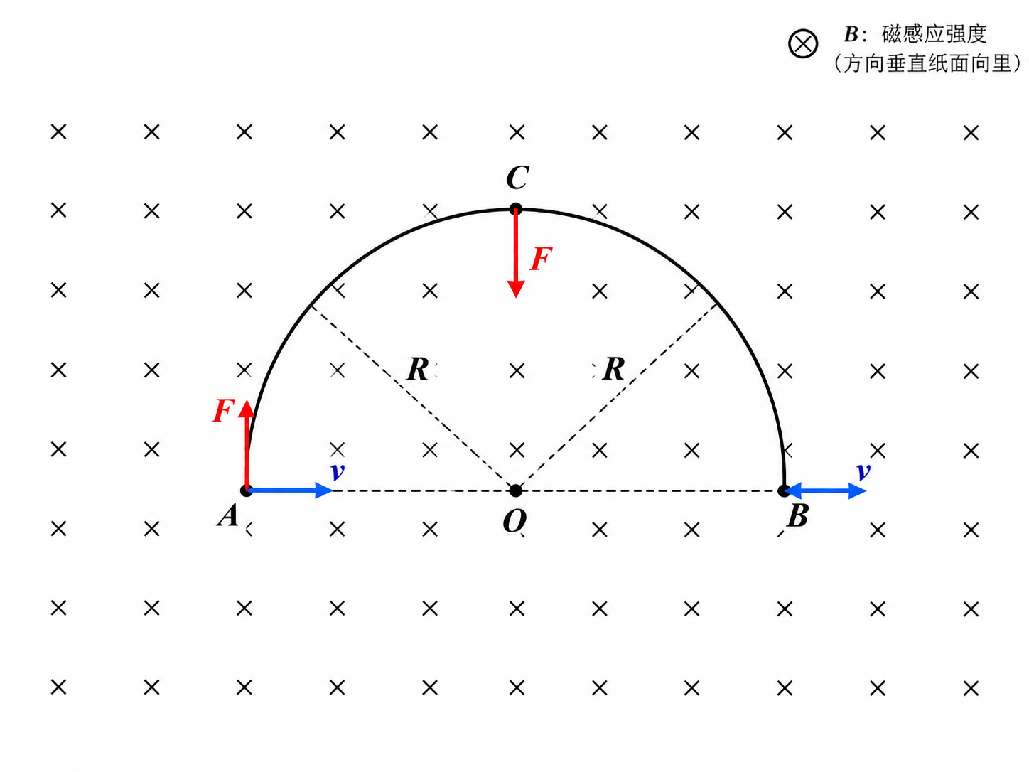 AI 生成图片，模型：Image 2.5