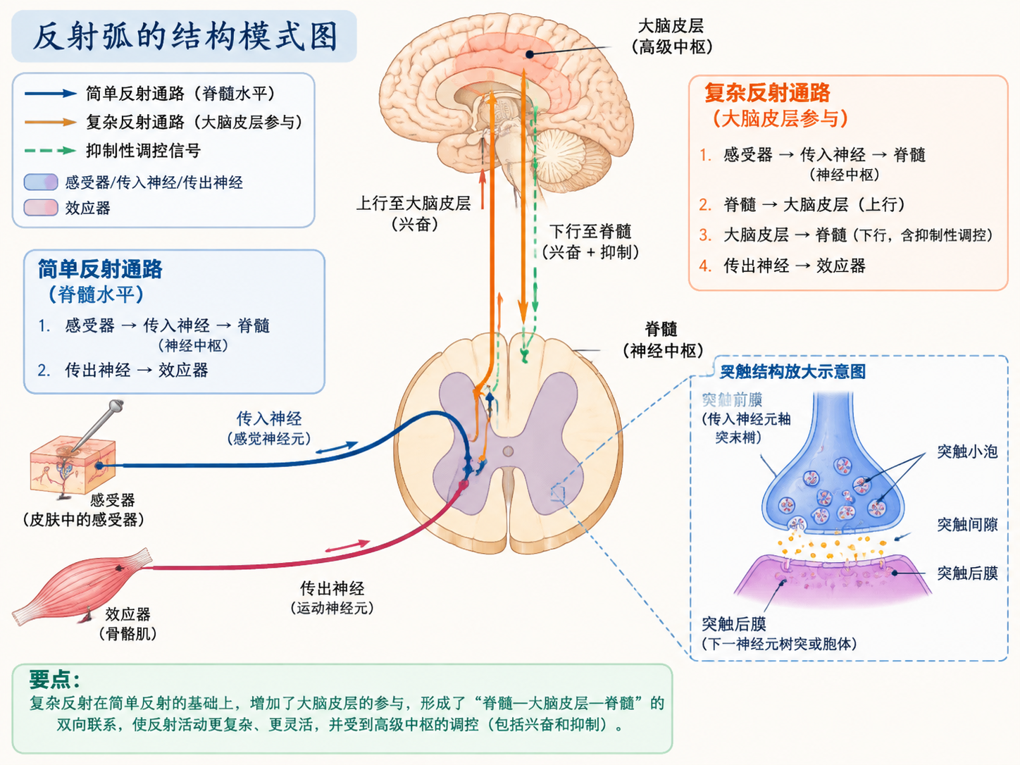 AI 生成图片，模型：Image 2.5