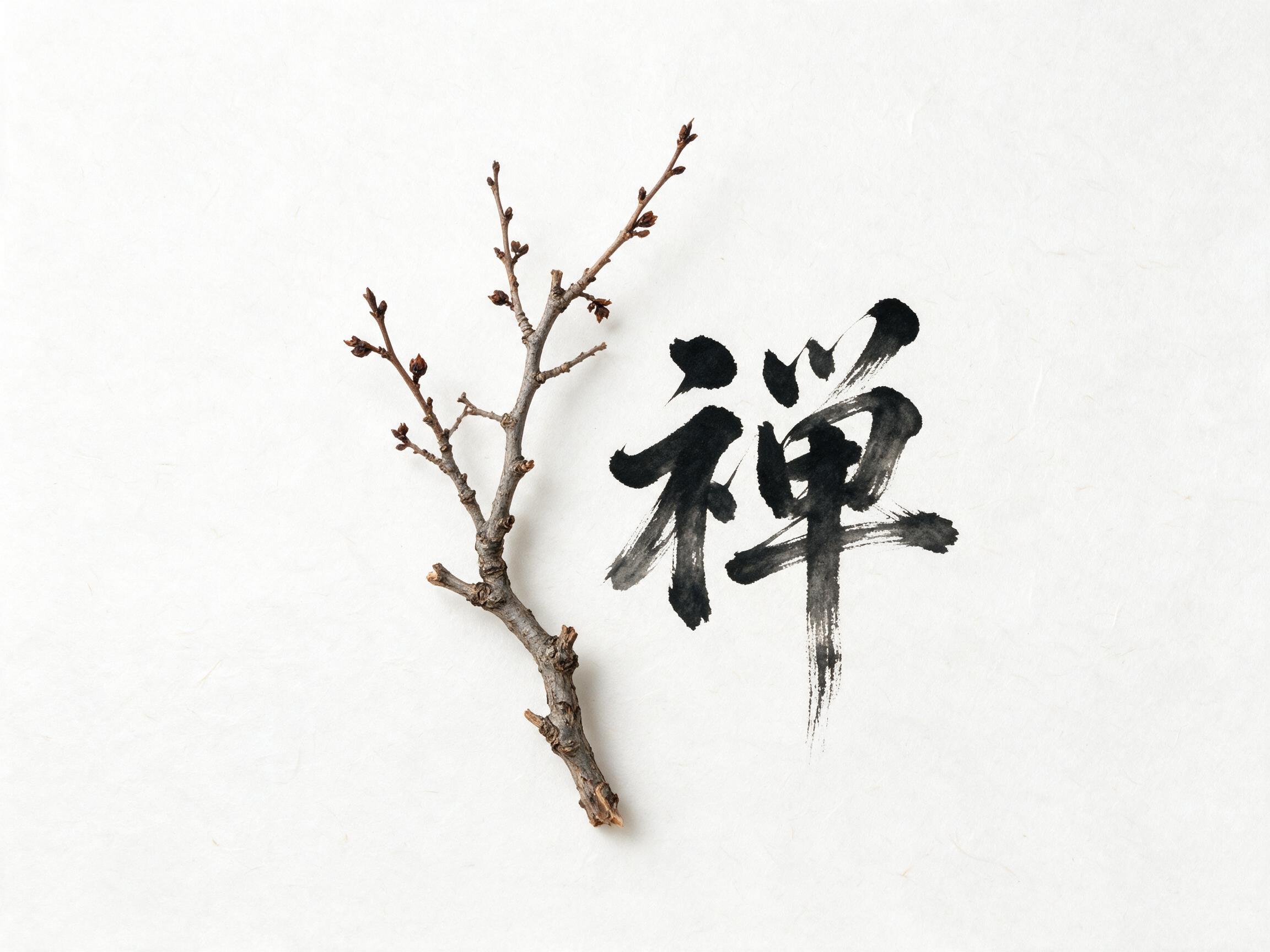 AI 生成图片，模型：doubao-seedream-5-0-pro