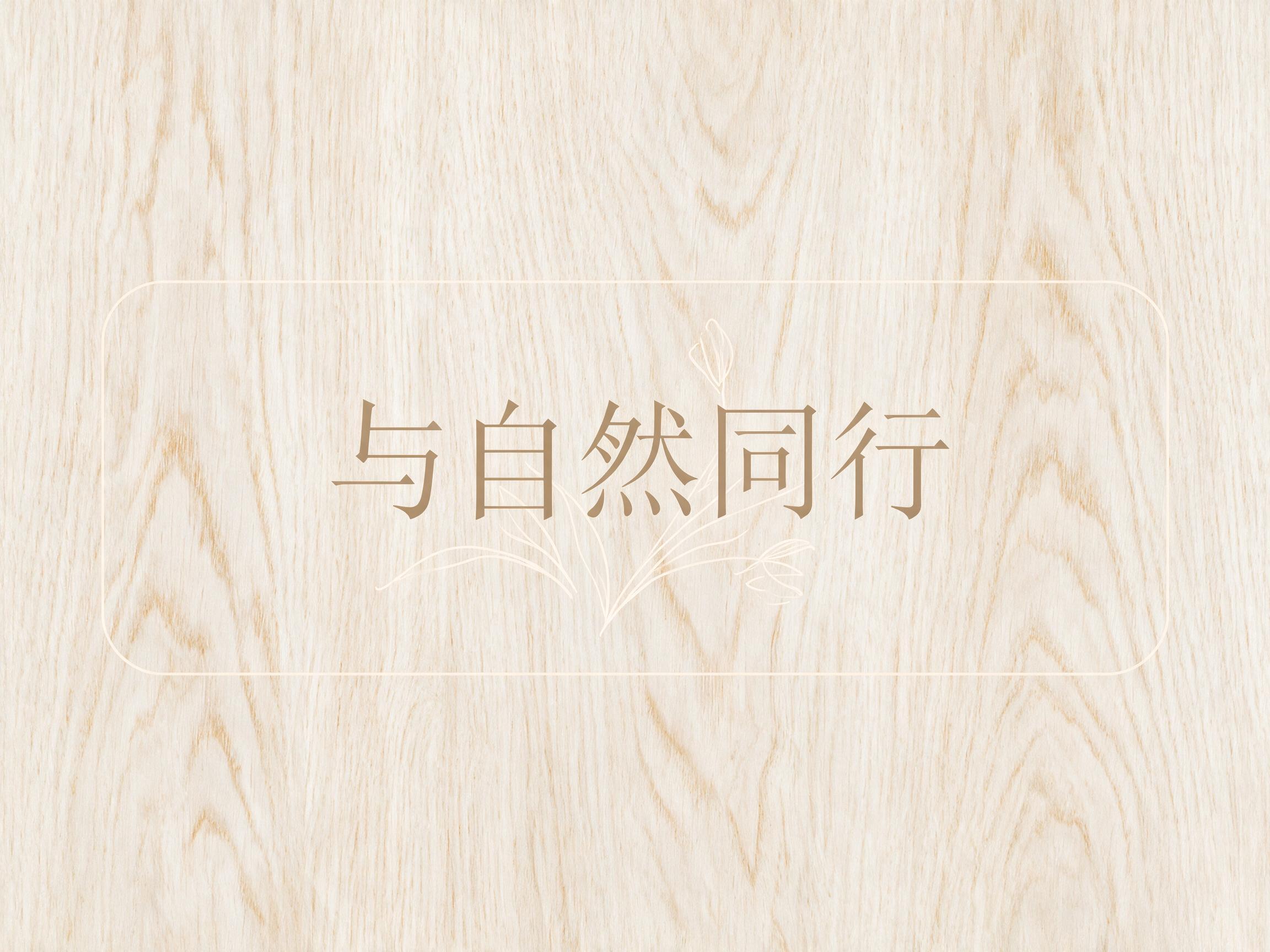 AI 生成图片，模型：doubao-seedream-5-0-pro